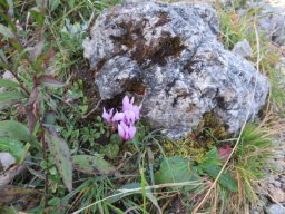 2021 Raxwanderung (7)